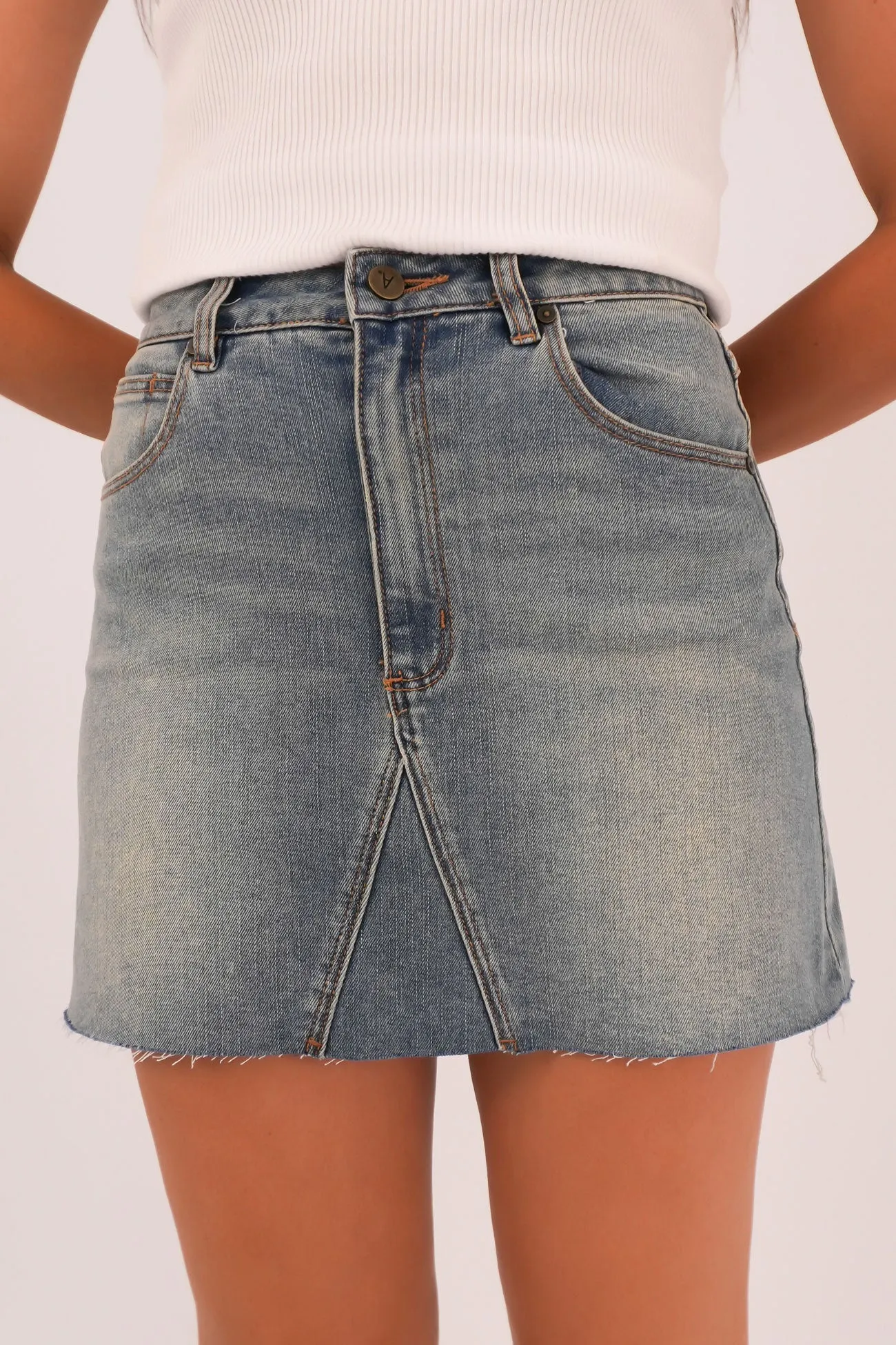 Stylish Vibe music concert A Aline Skirt Gisele