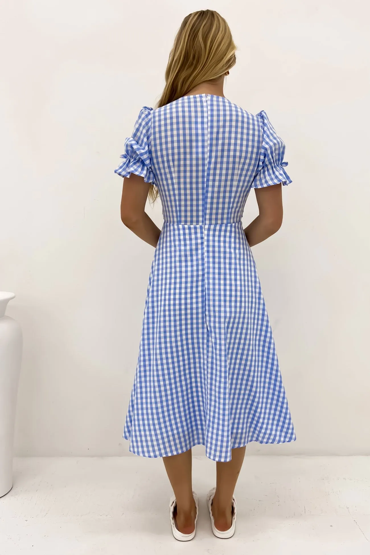 Vibrant color Aspyn Midi Dress Blue Gingham