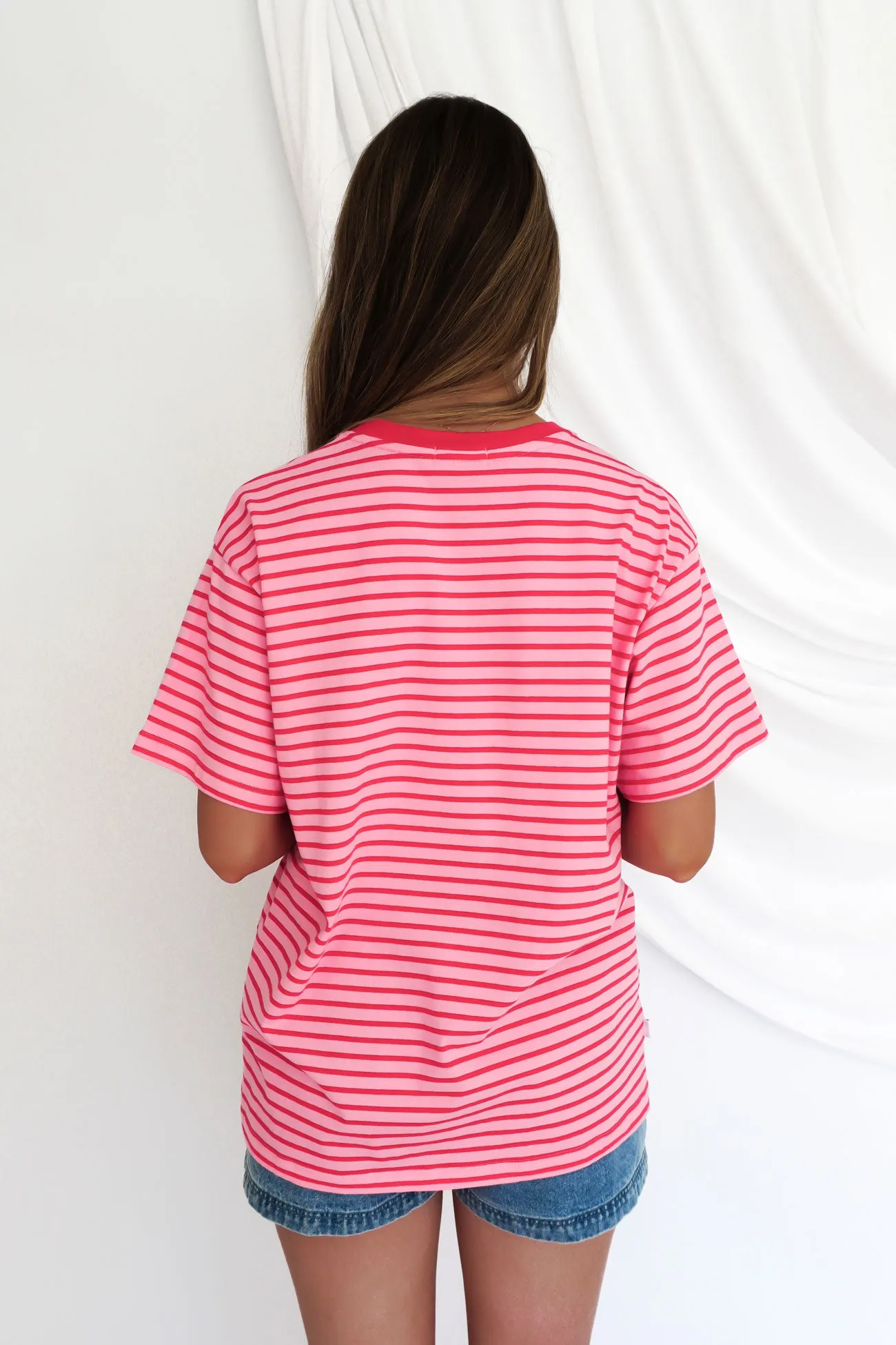Basic Top Brushed Interior Lining Beau Stripe Tee Pink Stripe