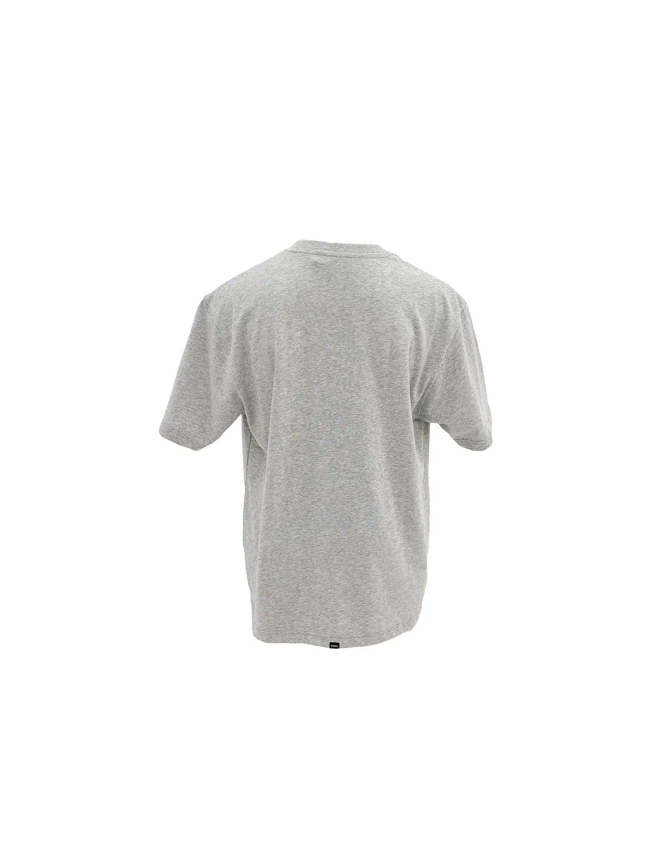 City Fashion Pennant Embro Oversize Fit Tee Snow Marle