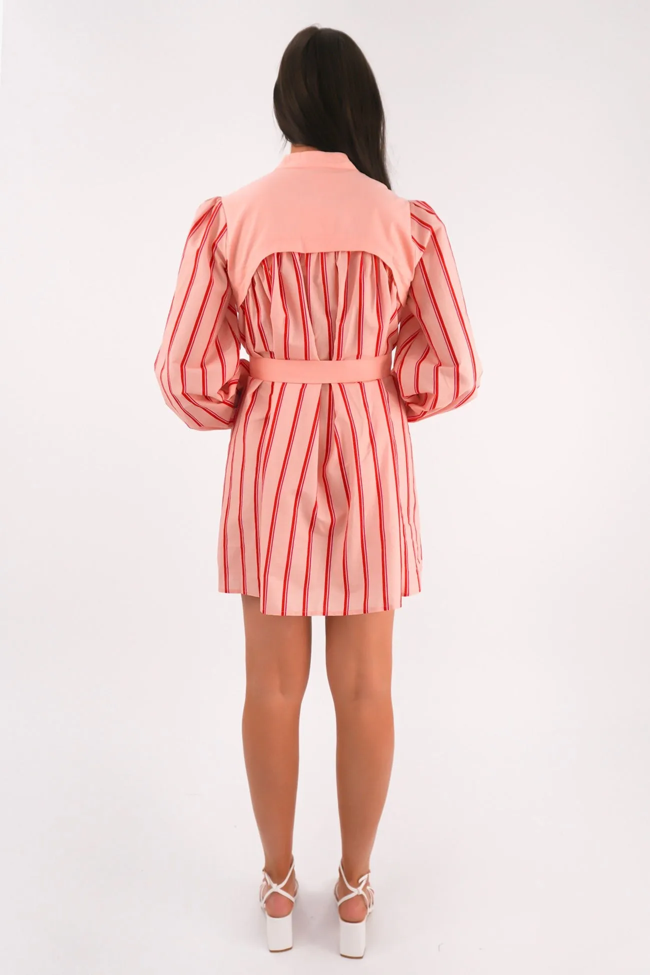 Sleek and Simple Profile Enhancer Mae Mini Dress Pink Stripe