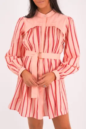 Mae Mini Dress Pink Stripe Spring Ready Elegant Vibe