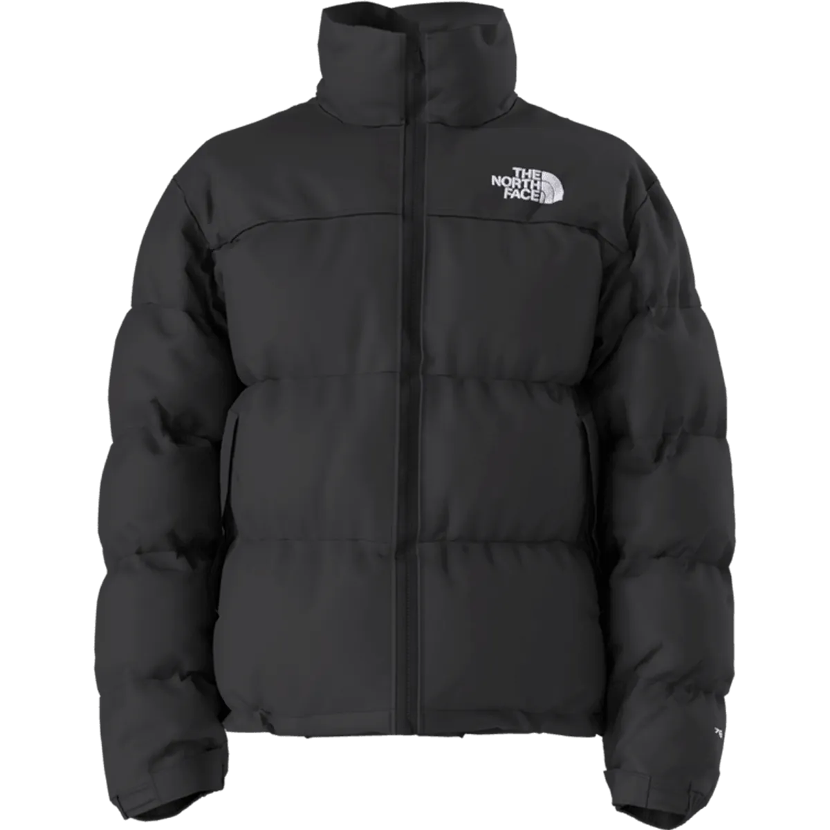 Magnetic Closures Men's 1996 Retro Nuptse Jacket
