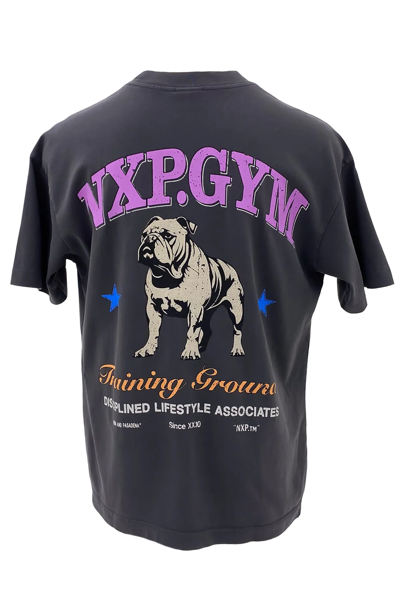 Parole Raptor Tee Pigment Asphalt Chic and Soft