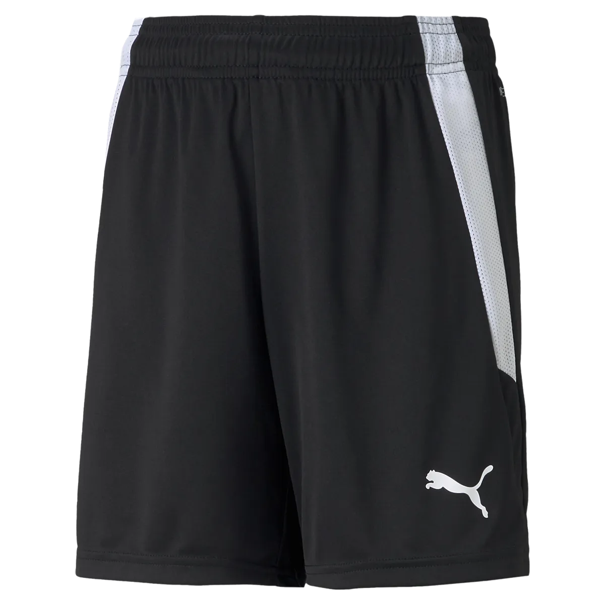 Youth Team Liga Shorts delivery work