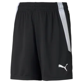 Youth Team Liga Shorts Clean Fit