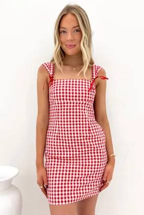 Chill Comfort Axton Mini Dress Red Gingham