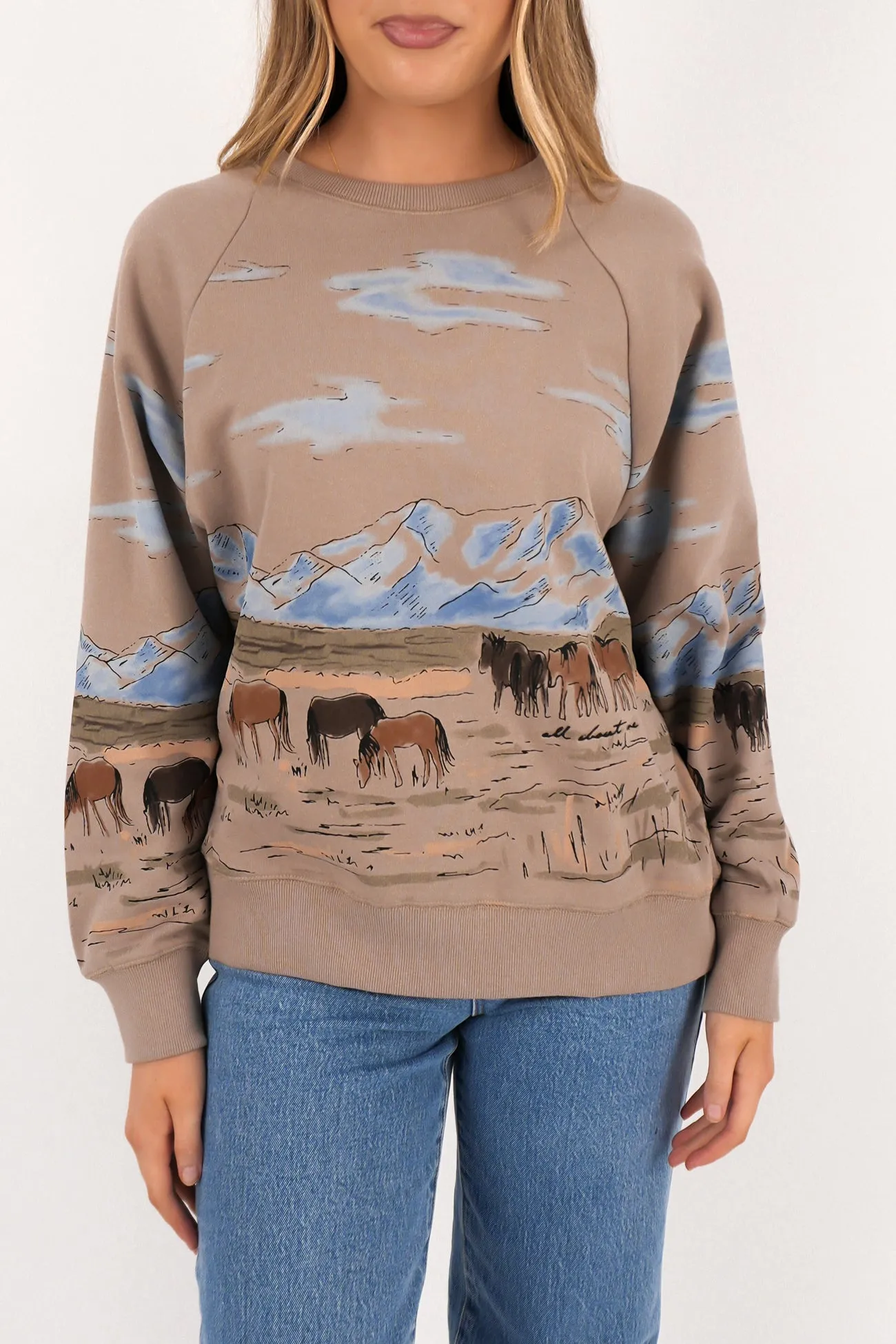 Versatile Trend Casual Essential Wild Horses Box Raglan Crew Stone