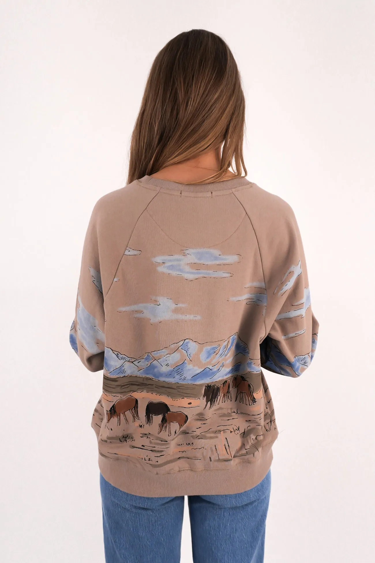 Wild Horses Box Raglan Crew Stone Outdoor Activity